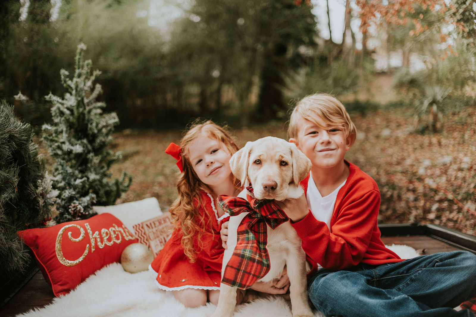 Wallis by Candy Hurst Images