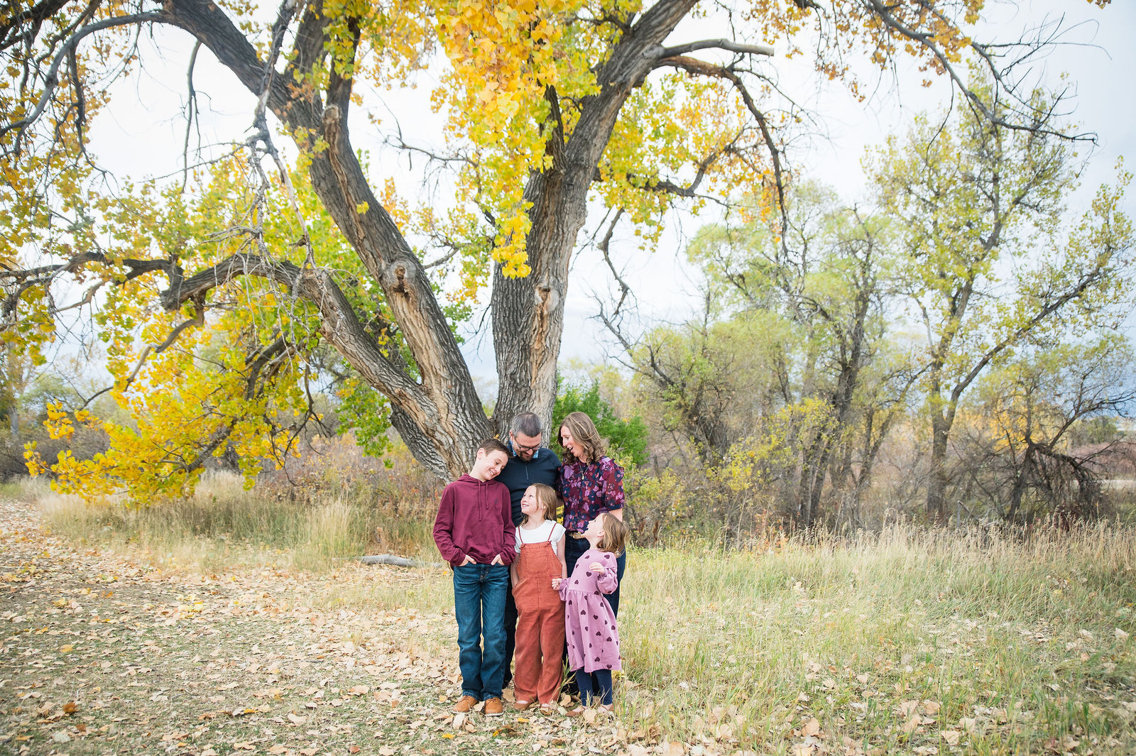 Family standing under a large golden cottonwood tree during a fall photo session in Colorado