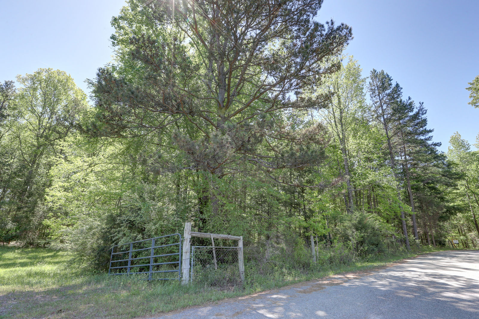 Blackwelder Rd by Strauss Studios