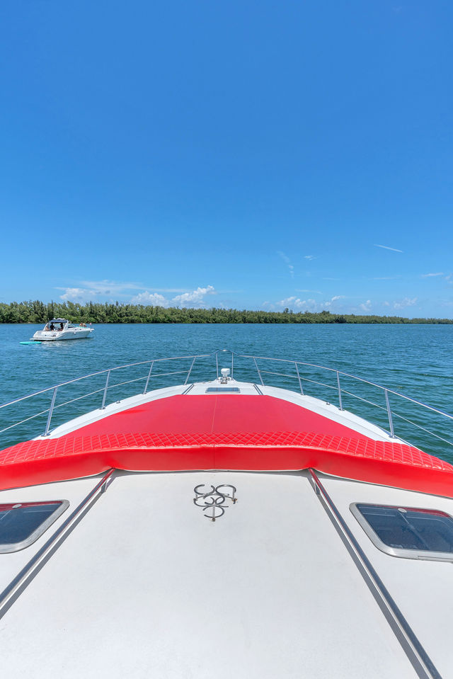 55FT Sea Ray Yacht – “Stocks N’ Blondes” — photo