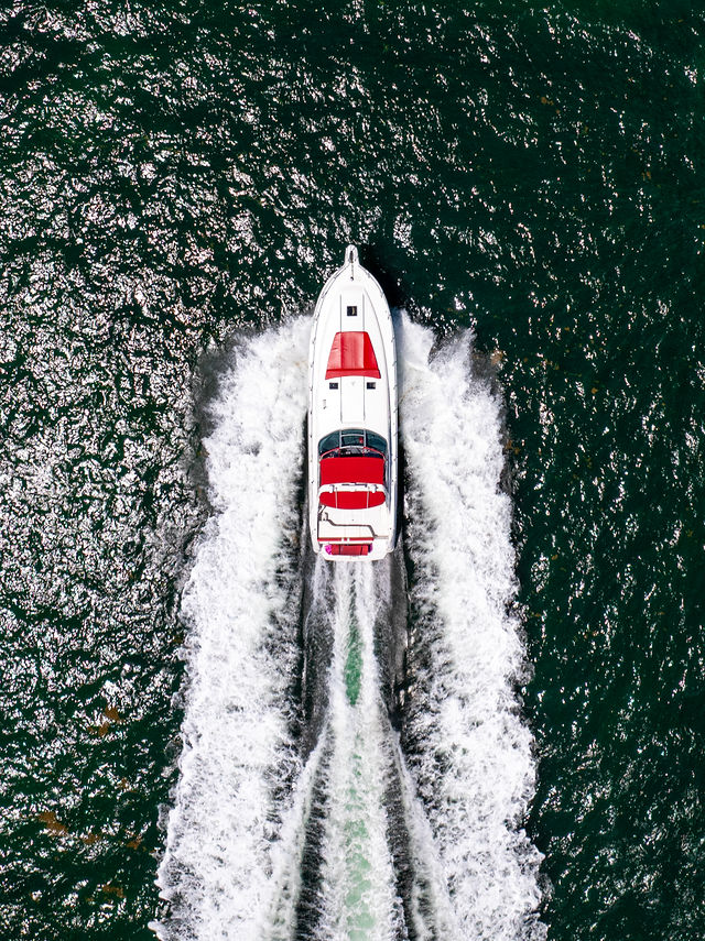55FT Sea Ray Yacht – “Stocks N’ Blondes” — photo