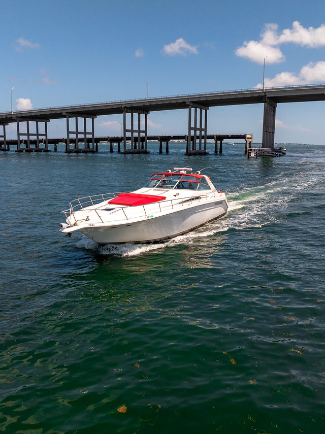 55FT Sea Ray Yacht – “Stocks N’ Blondes” — photo