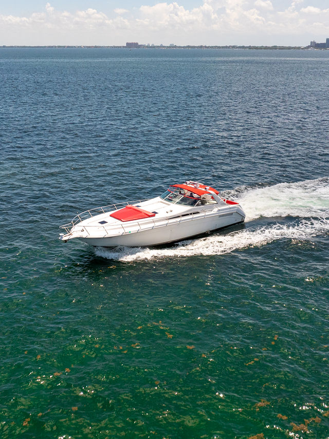 55FT Sea Ray Yacht – “Stocks N’ Blondes” — photo