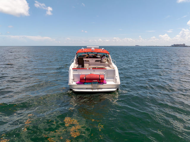 55FT Sea Ray Yacht – “Stocks N’ Blondes” — photo