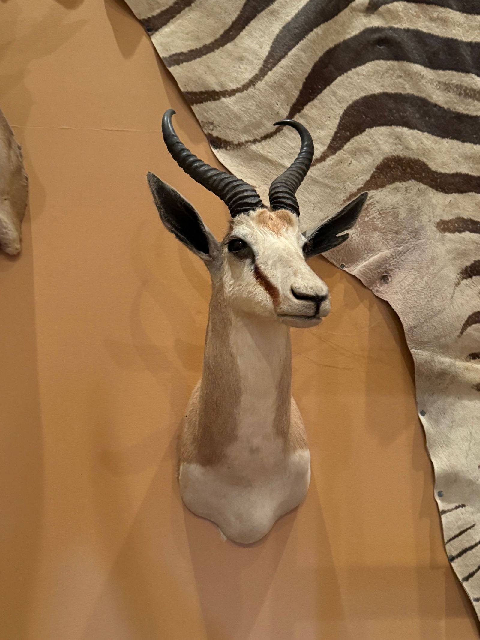 1087 Dry Tavern Road, Denver by Kline, Kreider & Good Auctioneers