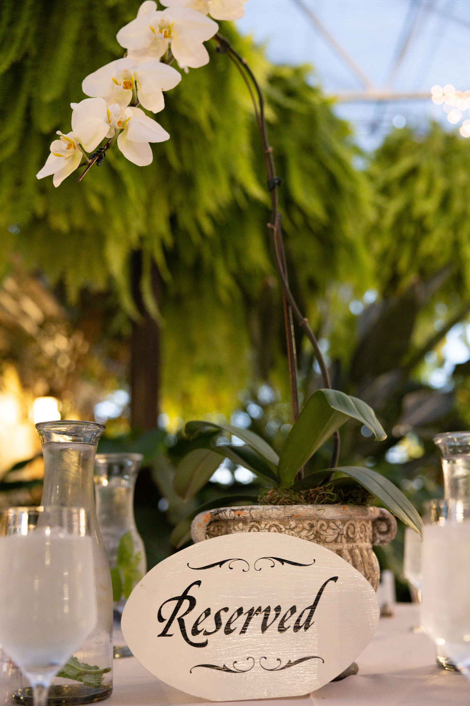 Event reception photography in Utah