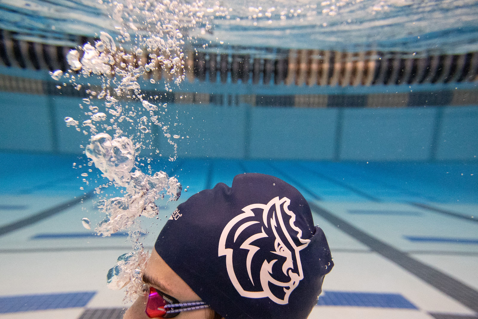 QUEENS SWIMMING by Strauss Studios