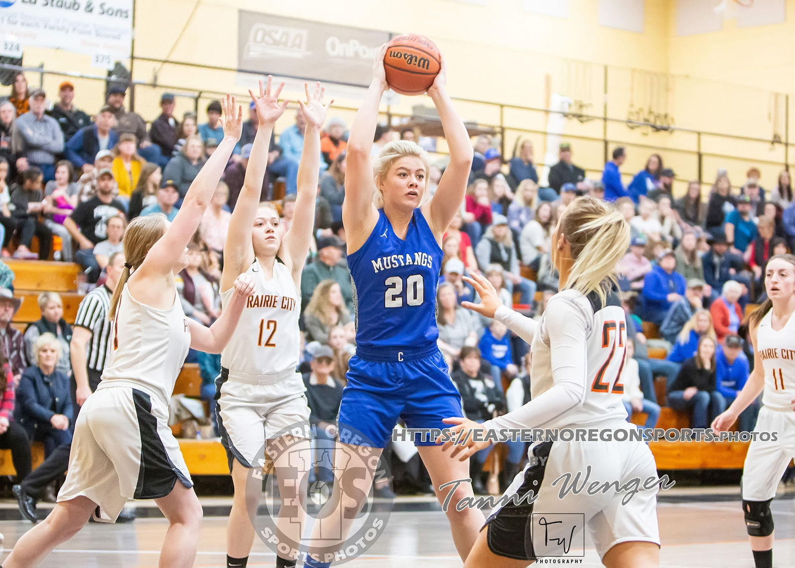 Crane v Prairie City Girls Basketball Tanni Wenger by Eastern