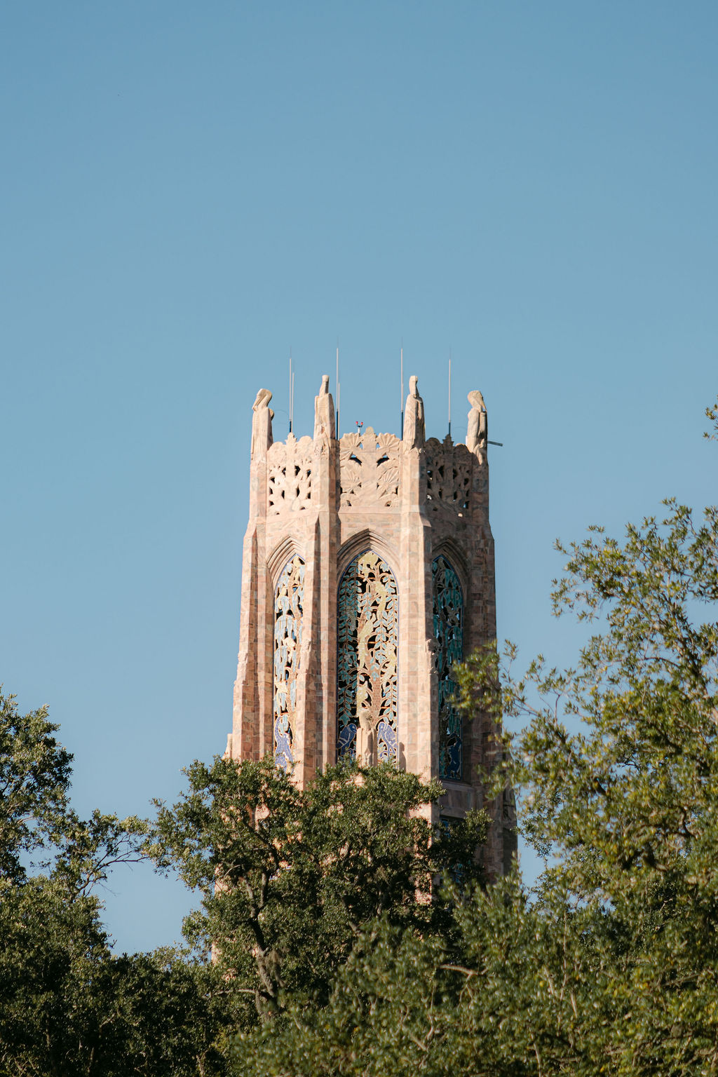 Surprise proposal & engagement photography in Orlando