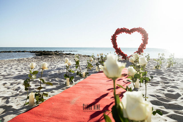 Michael Wilde's Proposal