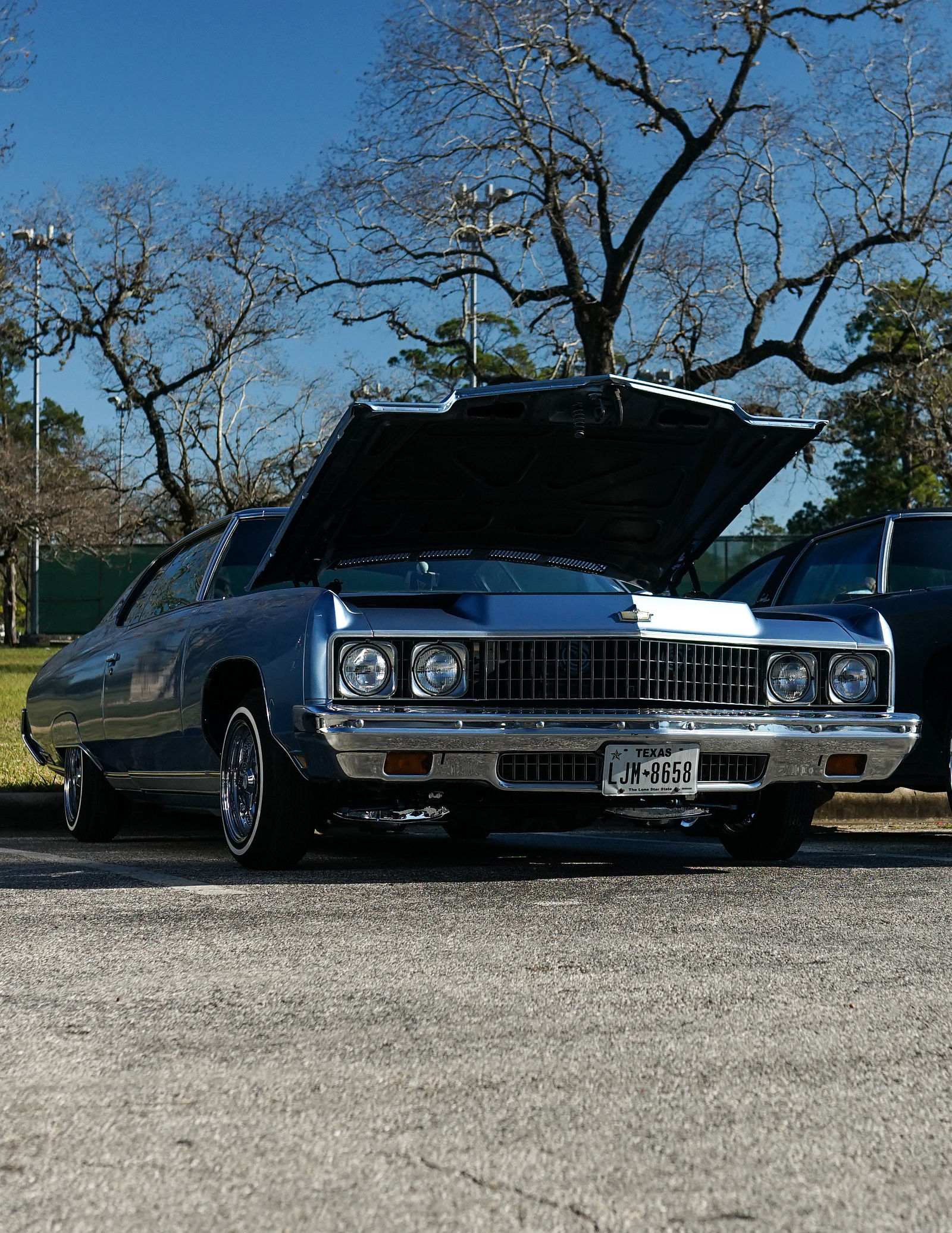 Houston Lowriders For Sale - d365vac