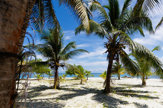 Global Couture Island Day