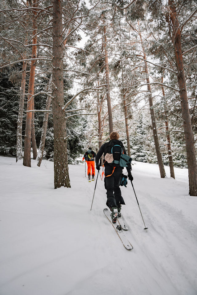 Skiën door het besneeuwde bos tijdens de expeditie in Kirgizië