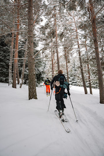 Skiën door het besneeuwde bos bij Karakol