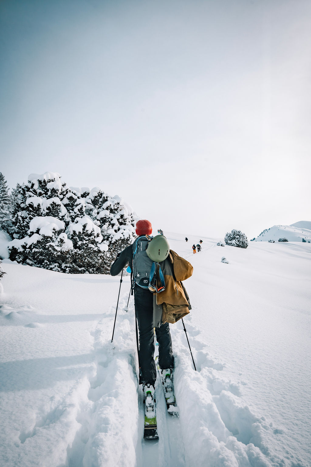 Freeride skiër in diepe poedersneeuw in Kirgizië