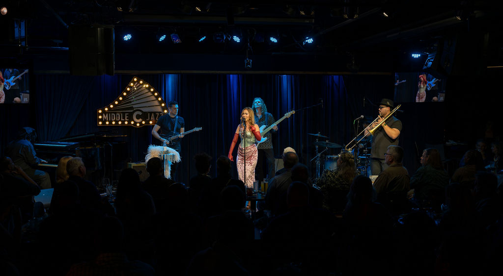 Wide view of Haley Reinhart and her band on stage