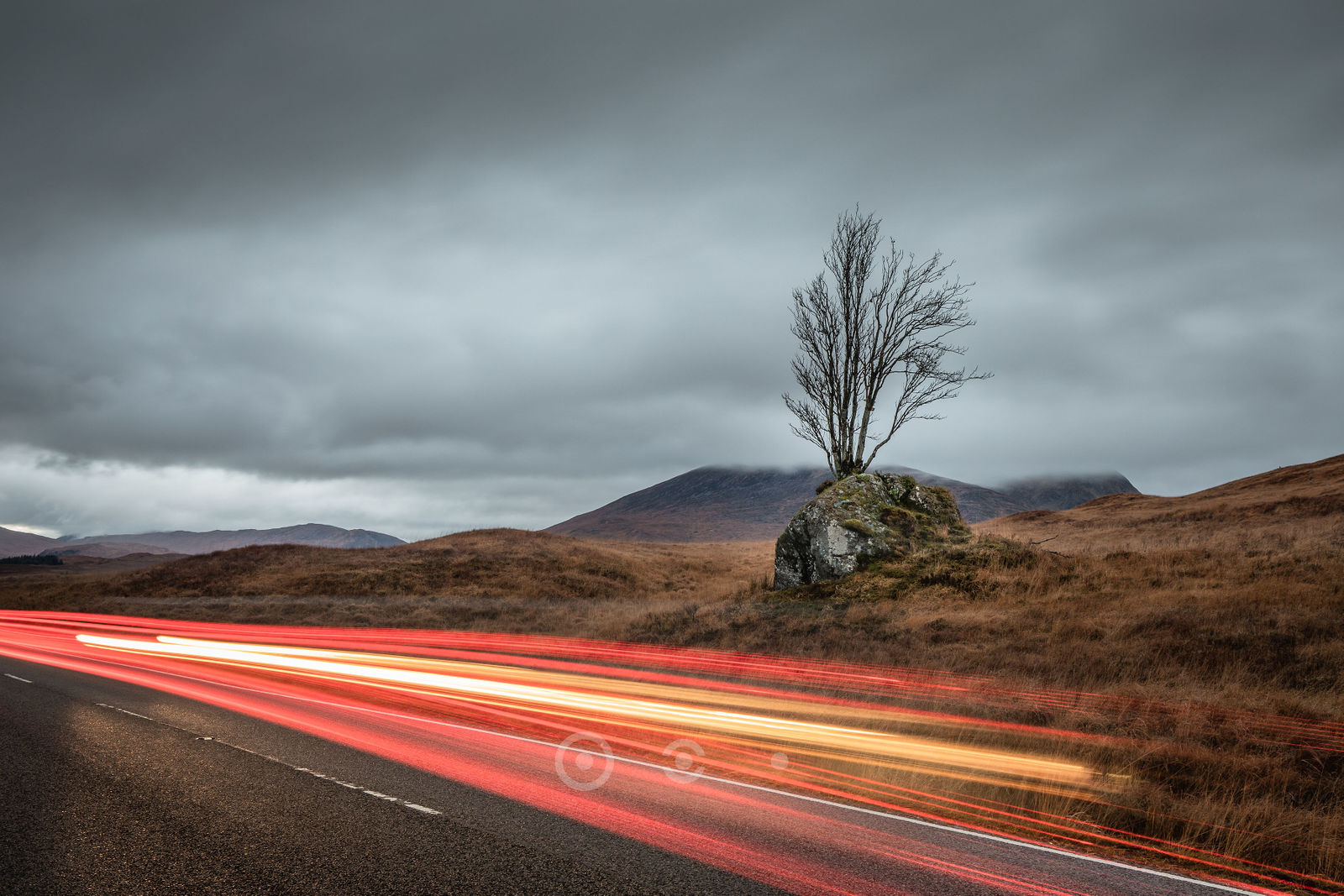 9384-Theinfamoustreeandrock-RannochMoor.jpg