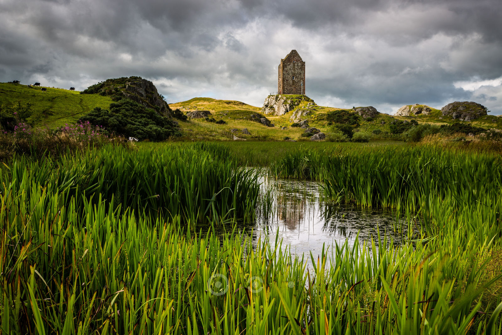 4061-SmailholmTower.jpg
