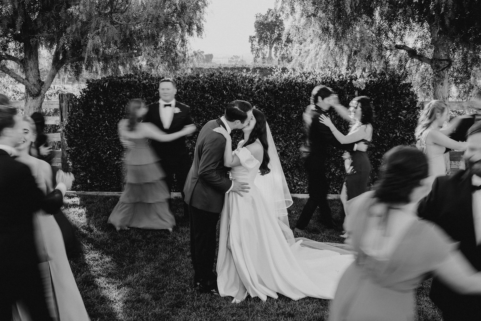 A newly married couple kissing as their wedding party moves around them after the ceremony.