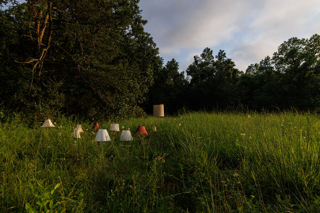 Manassass Battlefield BTS Photos + Video