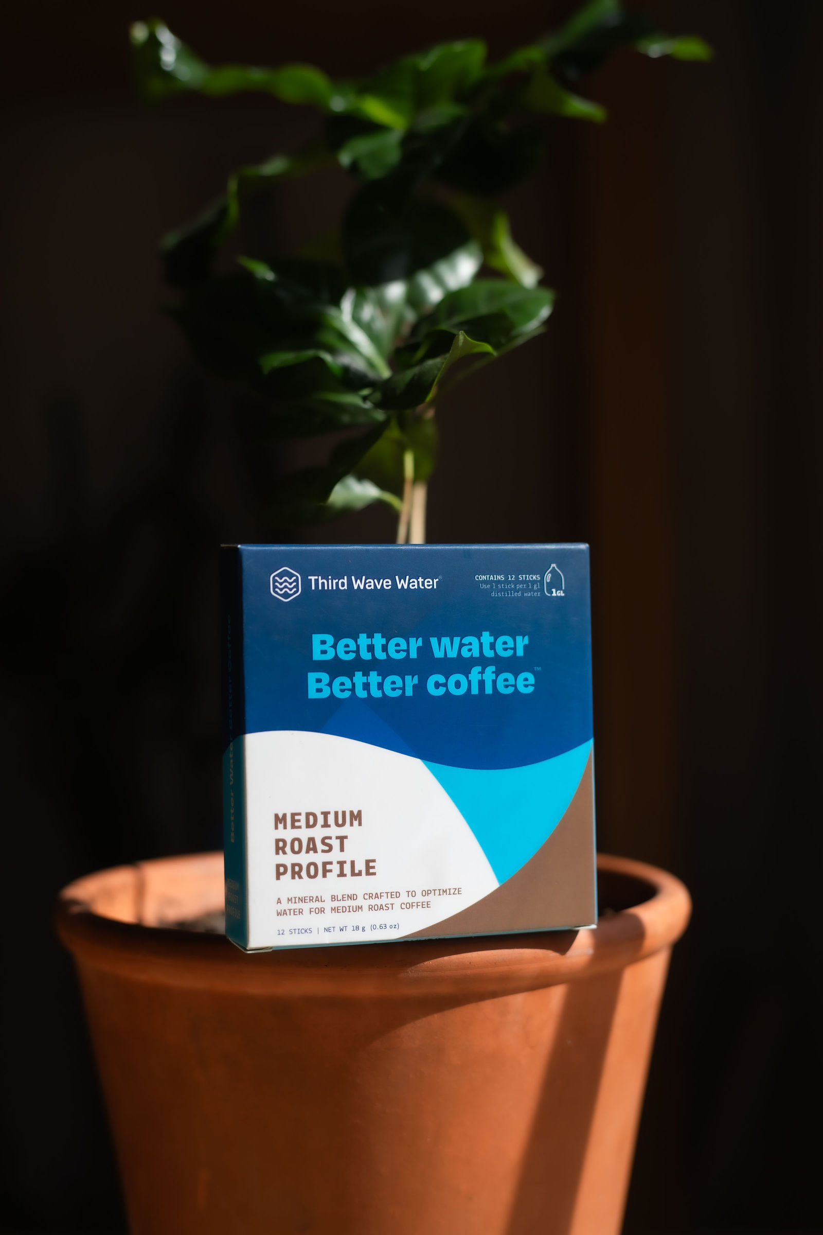 Third Wave Water