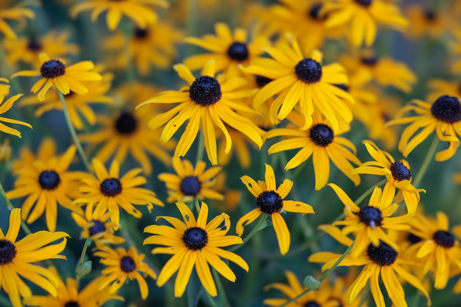 Kika Barajas By Lasting Light Photography kika-barajas-by-lasting-light-photography