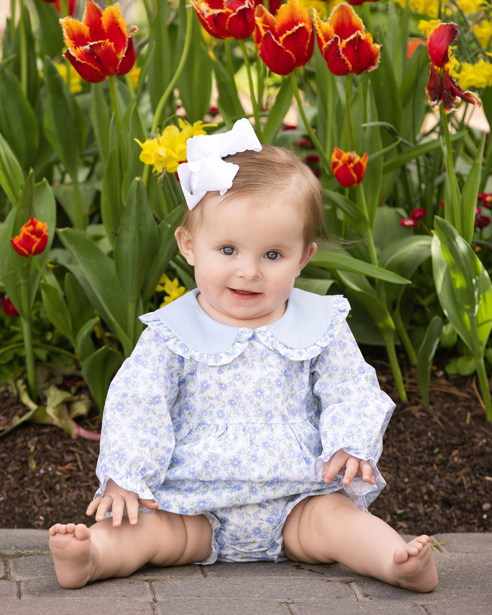 Colorful Tulip Festival family mini session at Ashton Gardens Thanksgiving Point