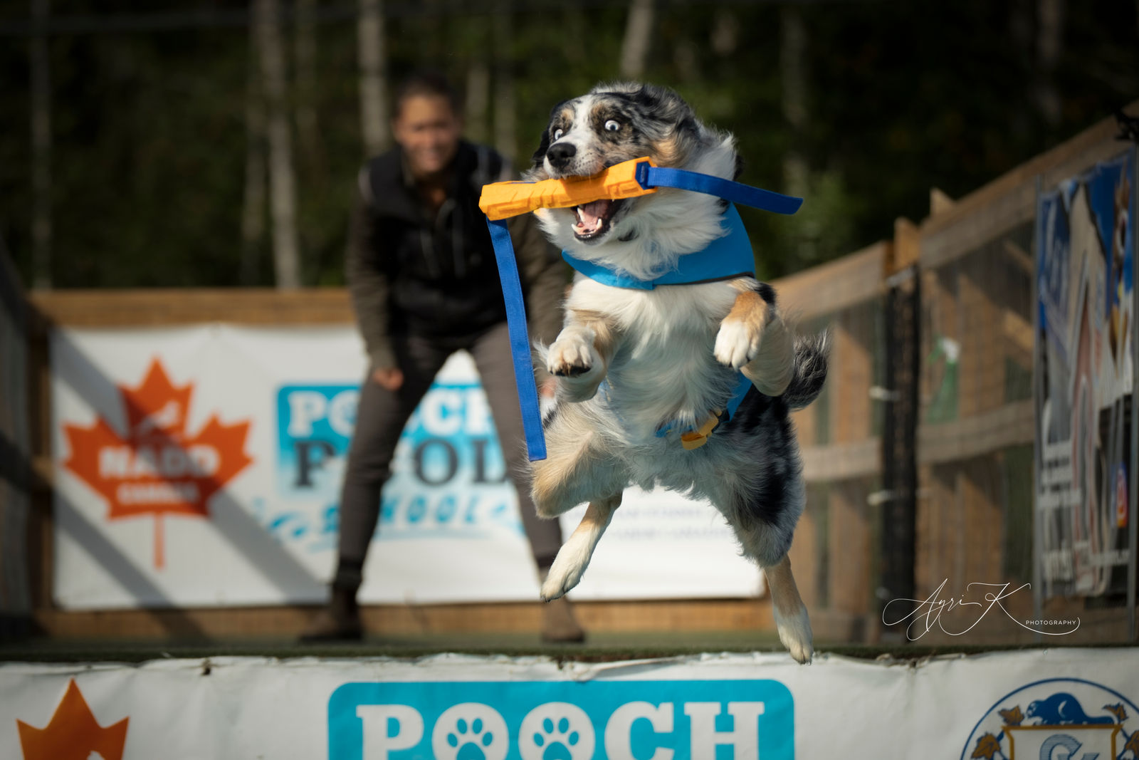 Dock Diving Competition Sept (Friday) by Ayri K Photography