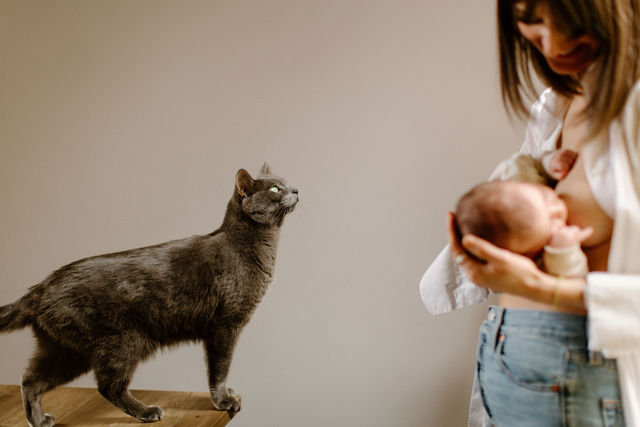 Séance photo grossesse et nouveau-né n° 20 – Rose Fushia Photographie, photographe maternité et bébé à Toulouse