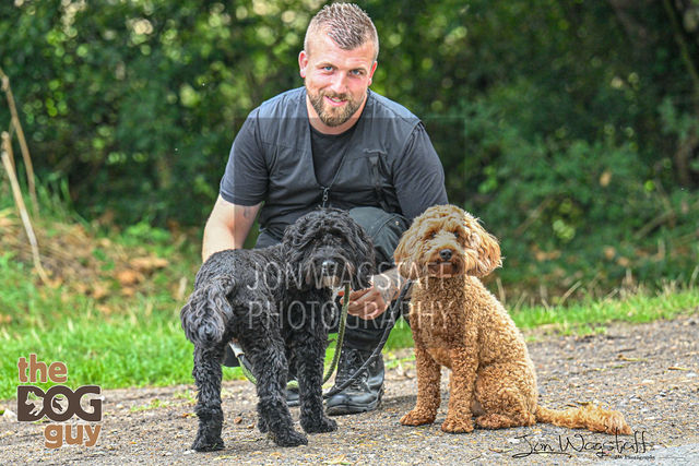 "The Dog Guy" — gallery by Jon Wagstaff