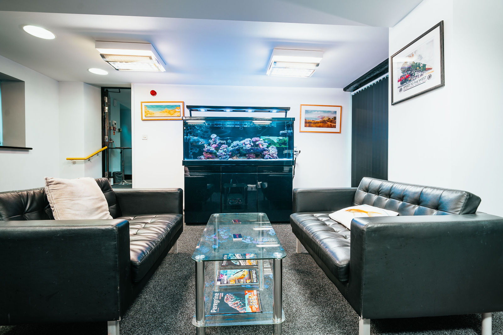 Signs Your Aquarium Needs a Deep Clean: Step-by-Step Guide