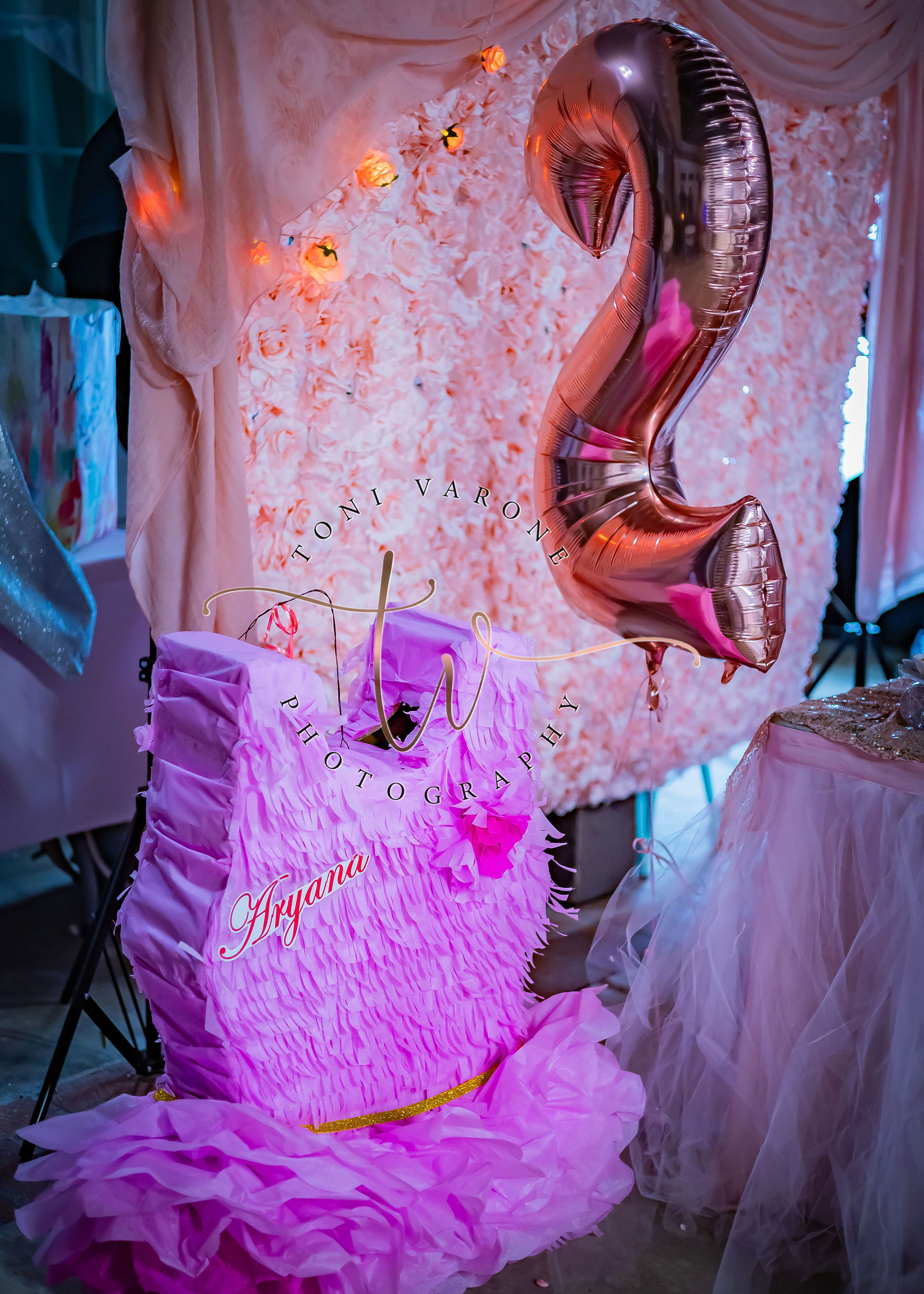 aryana-s-2nd-birthday-by-toni-varone-photography
