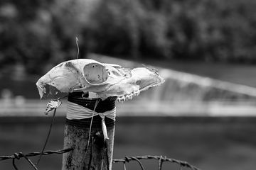 JeffHeveronPhotography2024-23.jpg