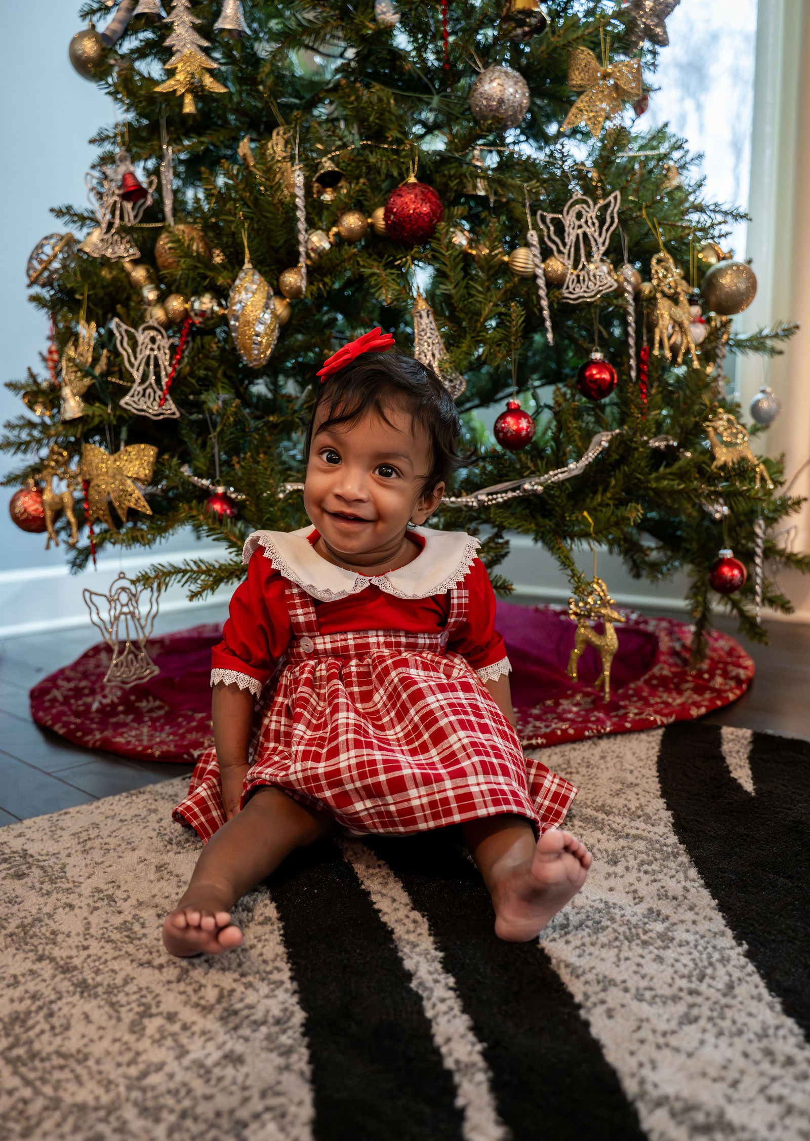 Shani Christmas Session 9