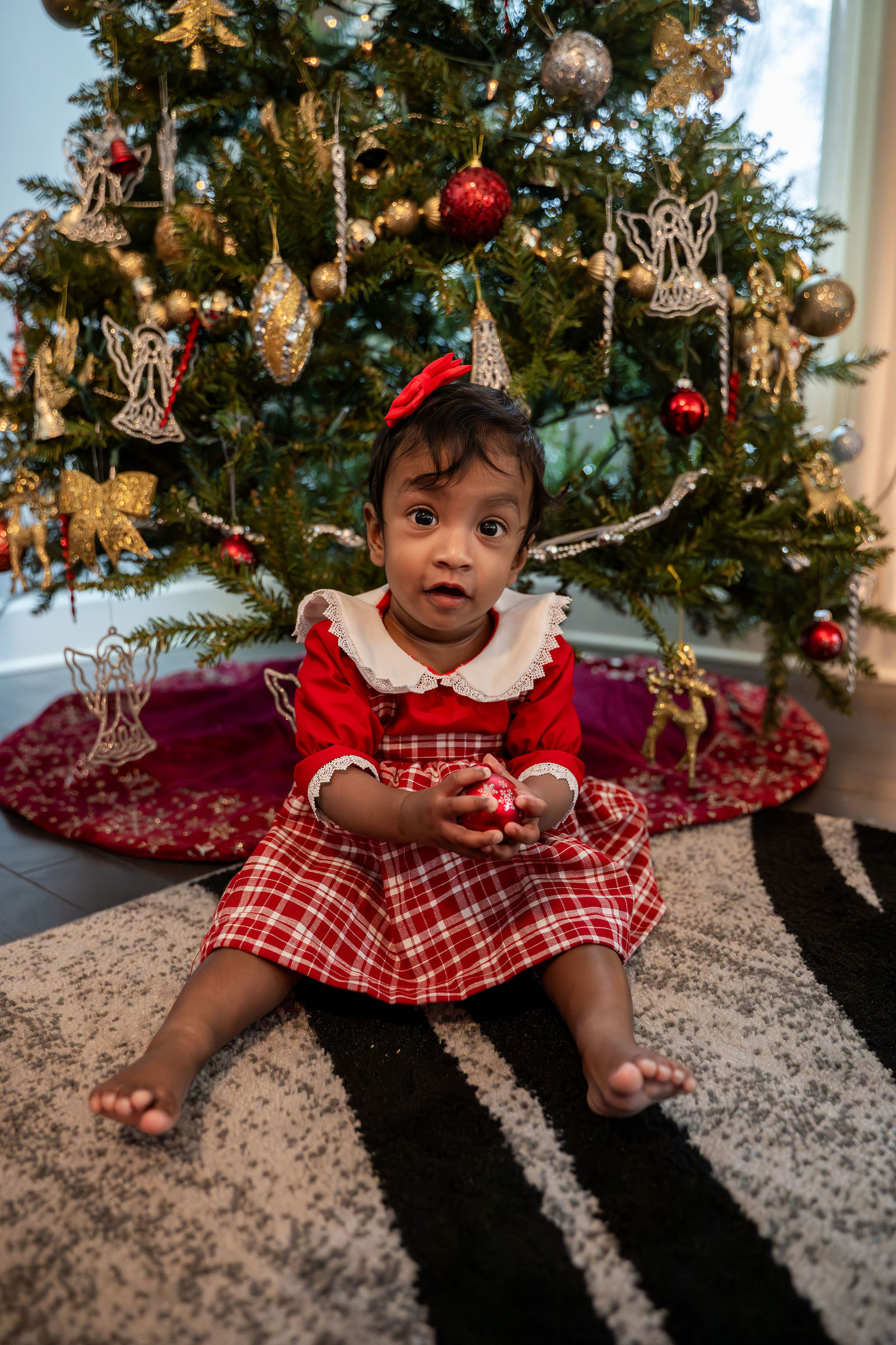 Shani Christmas Session 14