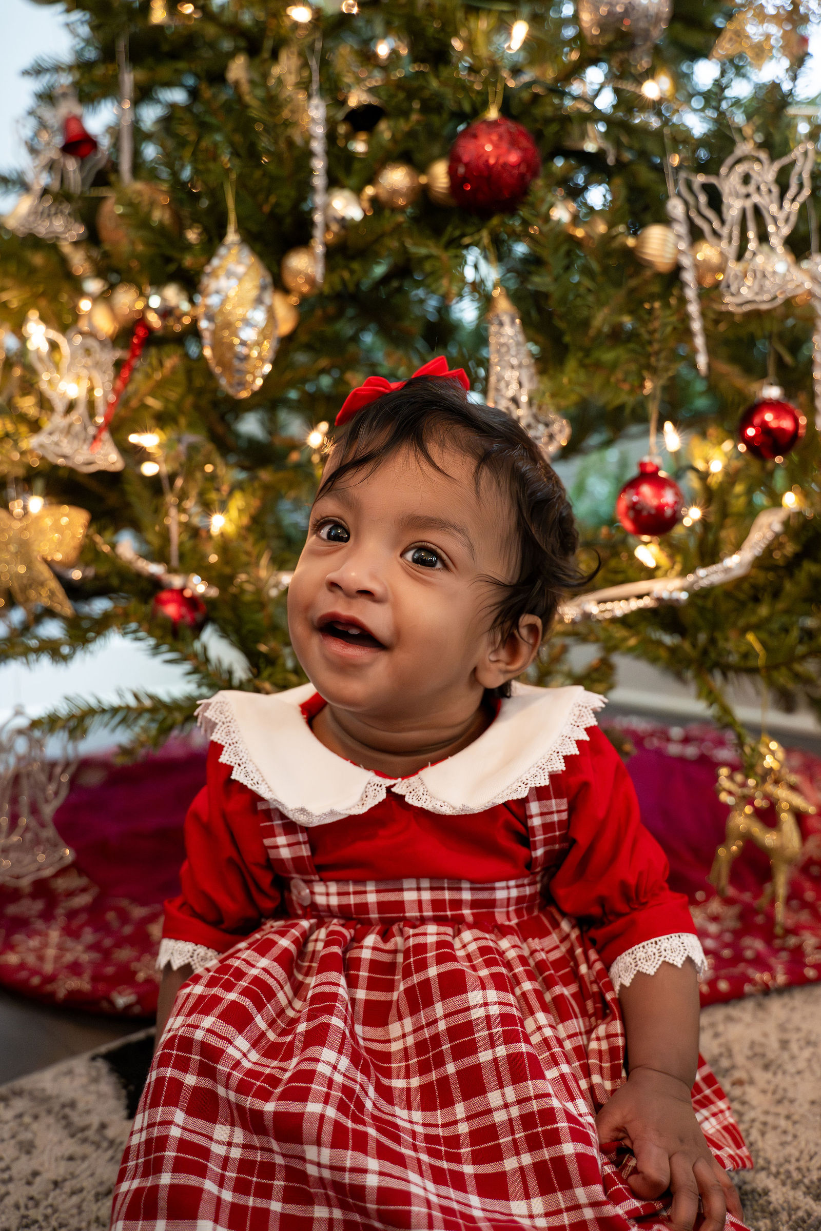 Shani Christmas Session 11