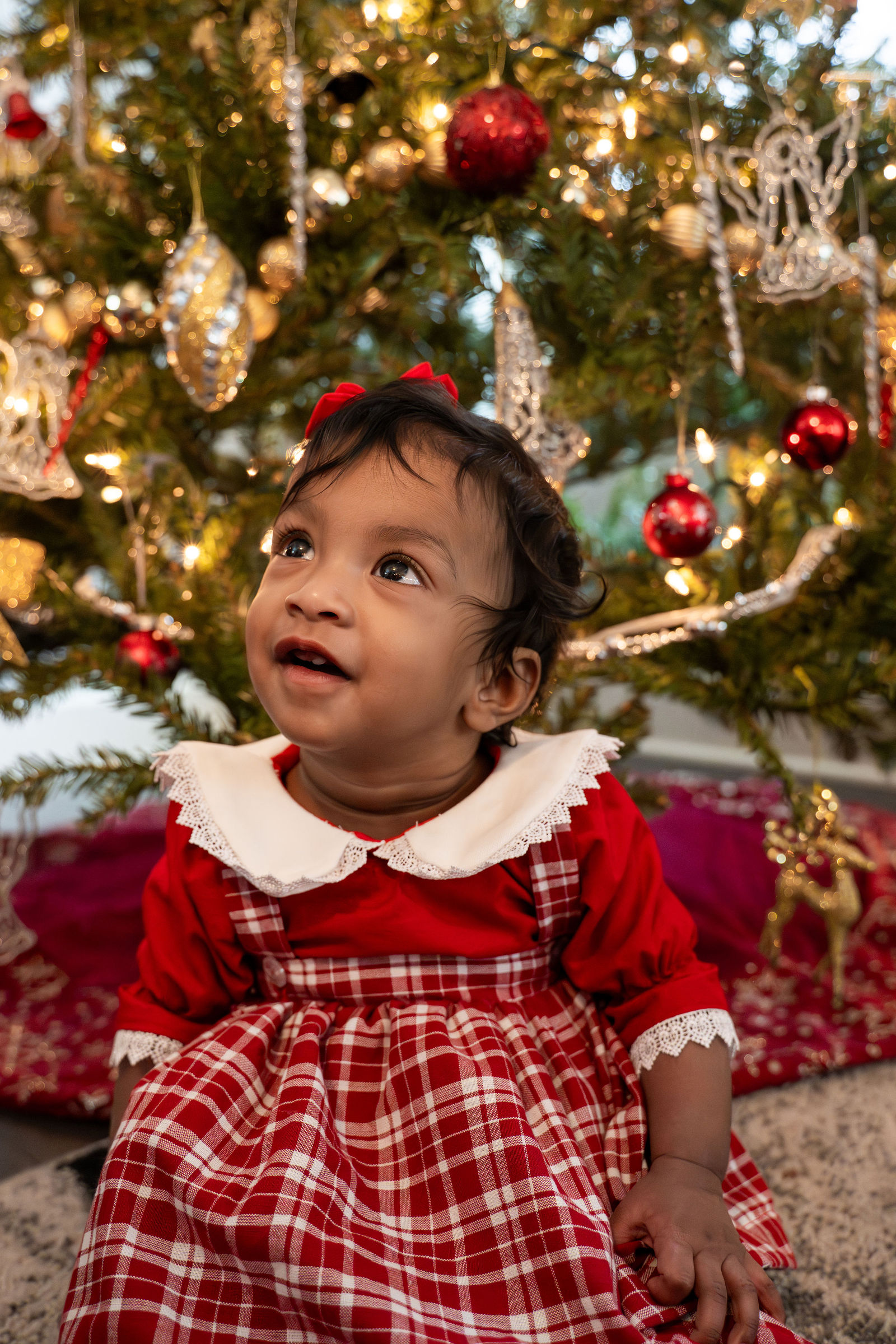 Shani Christmas Session 12