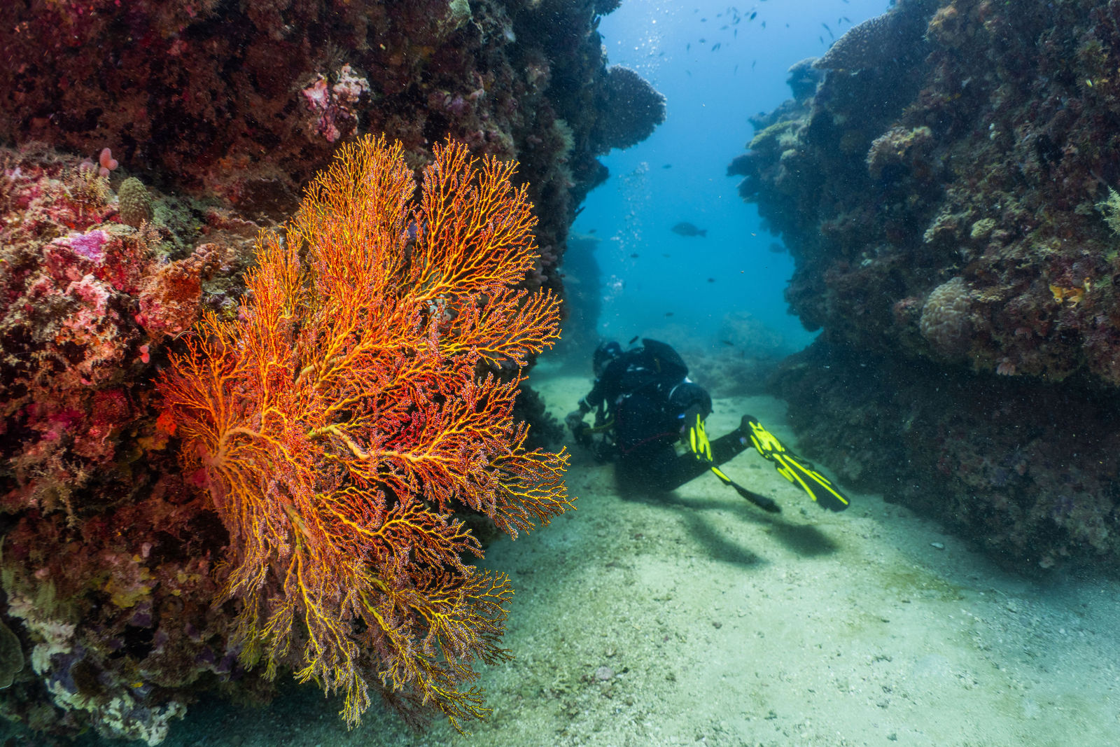 Exmouth Lighthouse BayCorals by Blue Media Exmouth