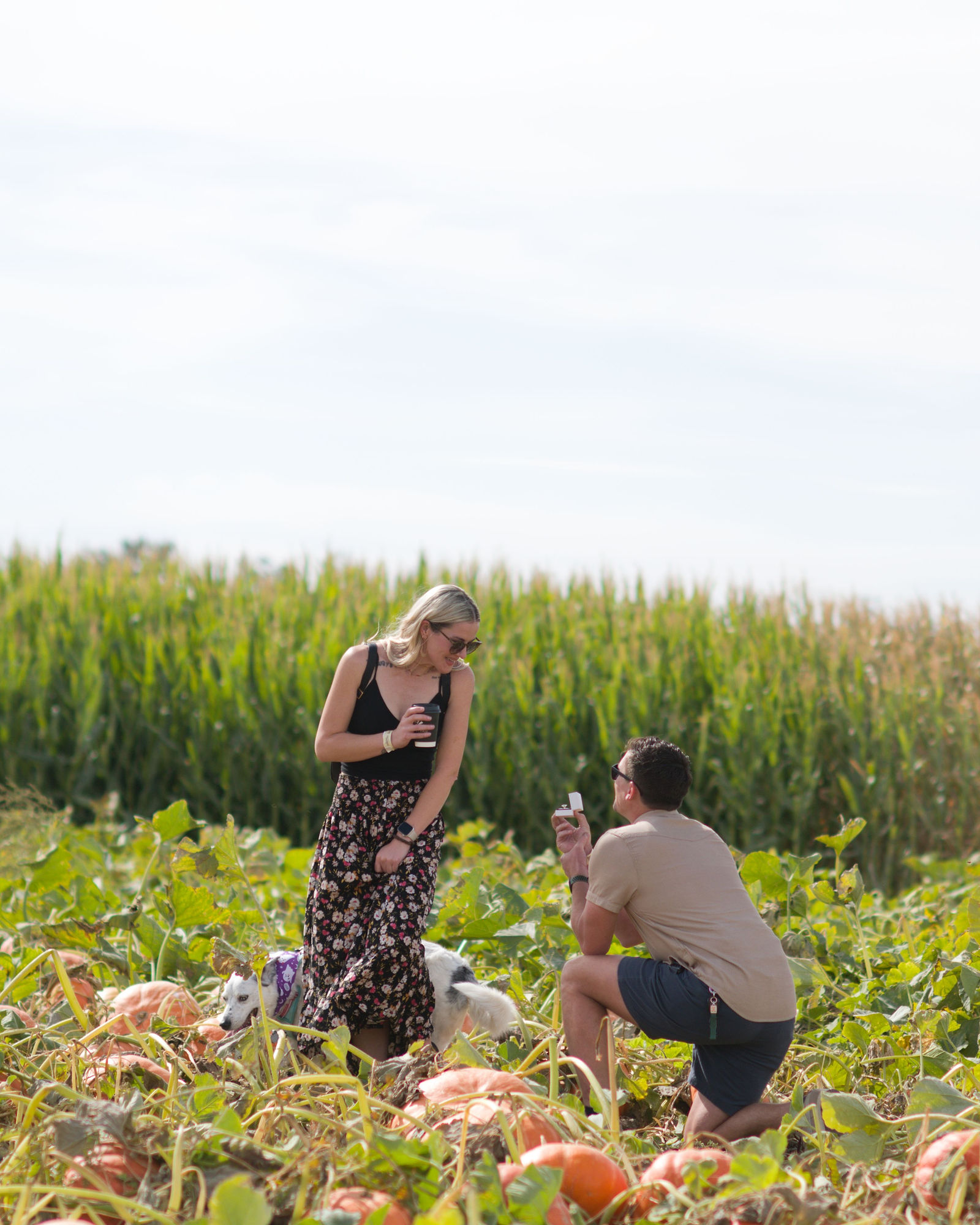 Caleb’s surprise proposal in the pumpkin patch