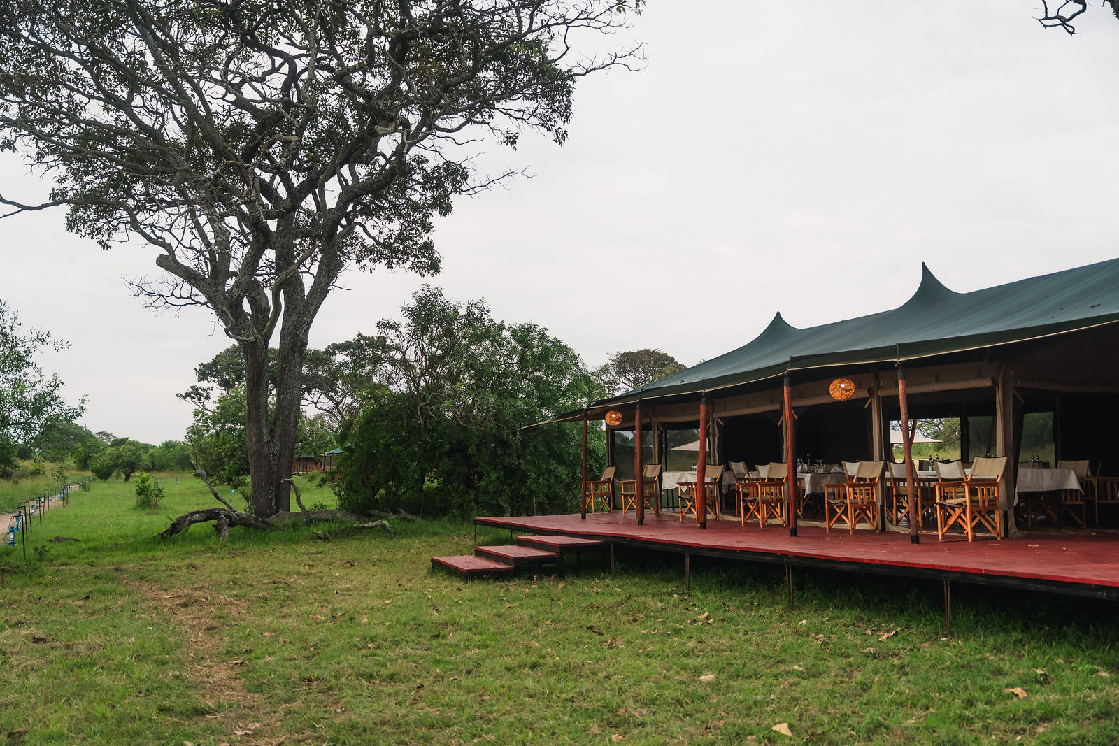 Untamed Migration Camp gallery photo