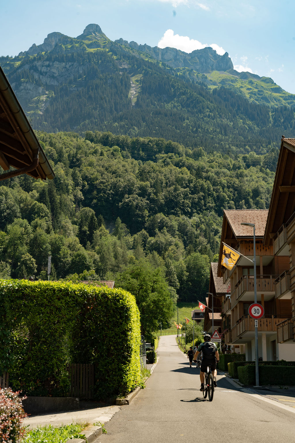 A village road below green slopes and a rocky peak, Jungfrau region