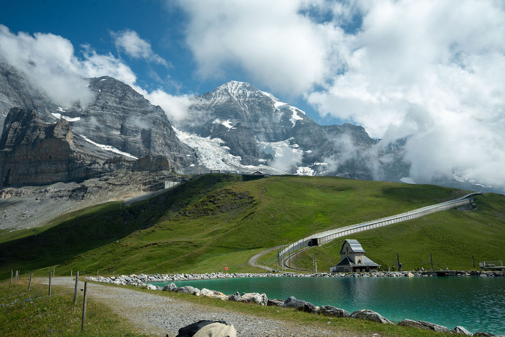 Alpine meadow and a cable car line below snowy peaks, Grindelwald