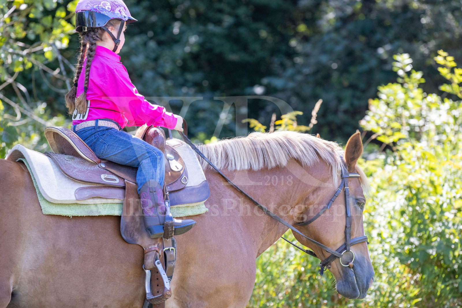 Calico Performance Horse Schooling show by Will Rogers Photography
