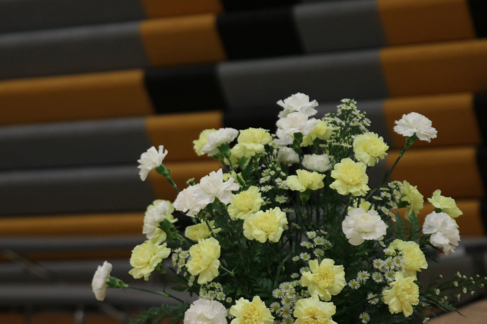 BoydenHull Class of 2021 by BoydenHull