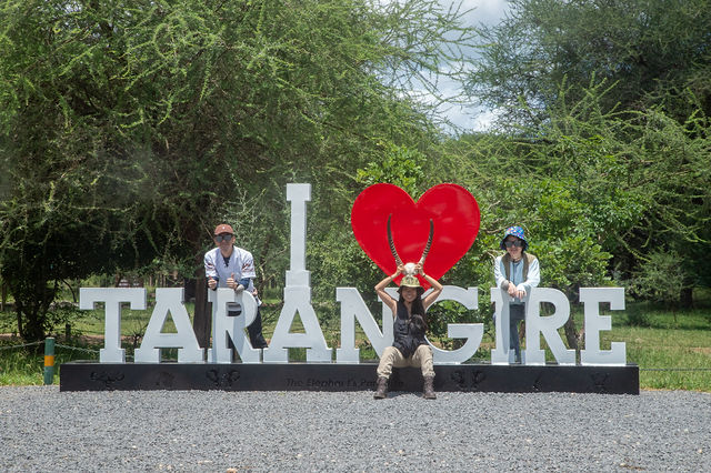 3-Day Taste Affordable Serengeti & Ngorongoro Safari