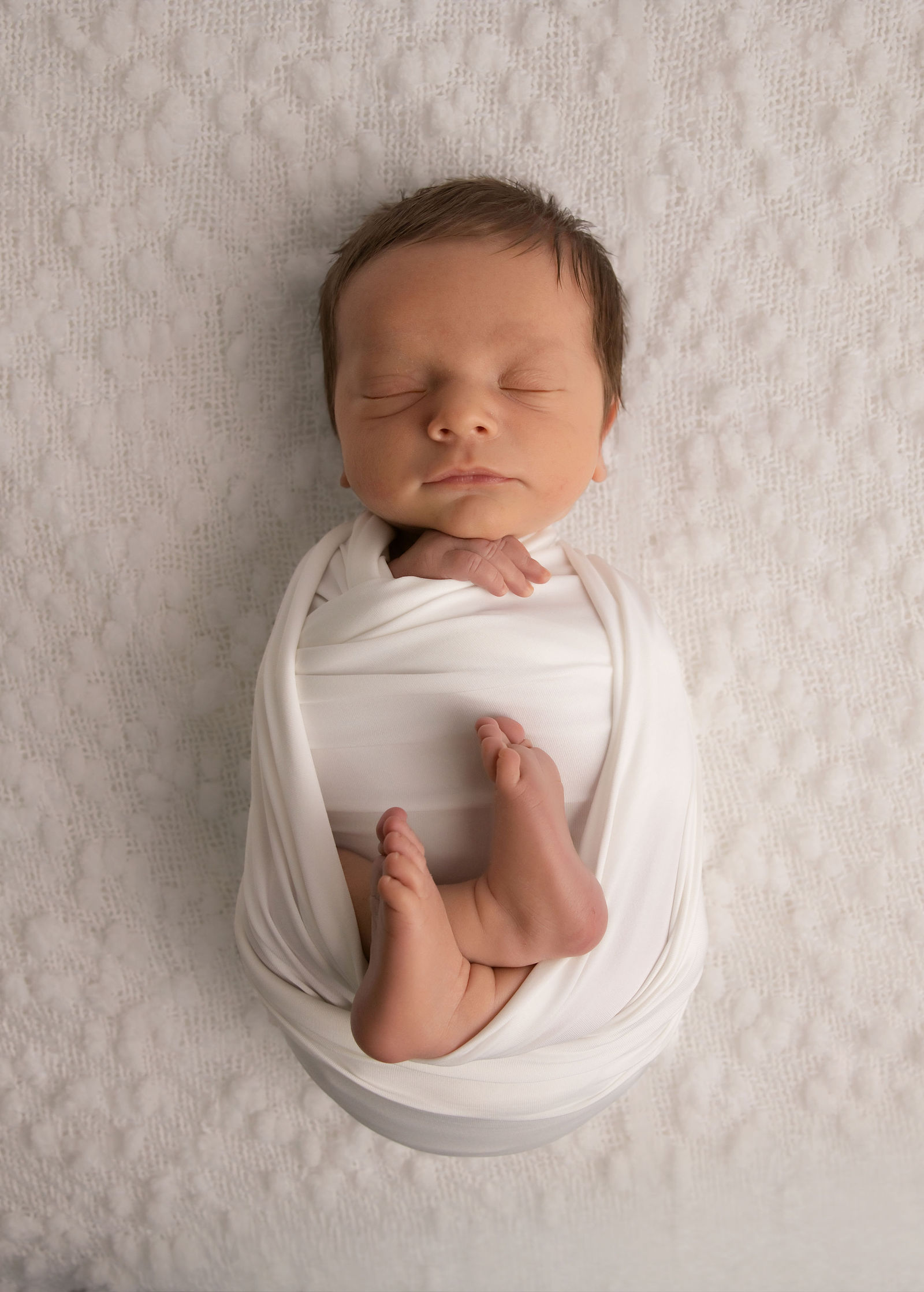 Layton newborn photographer family photo