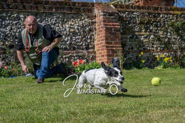 Misty: Thaxted: Photo Shoot — gallery by Jon Wagstaff