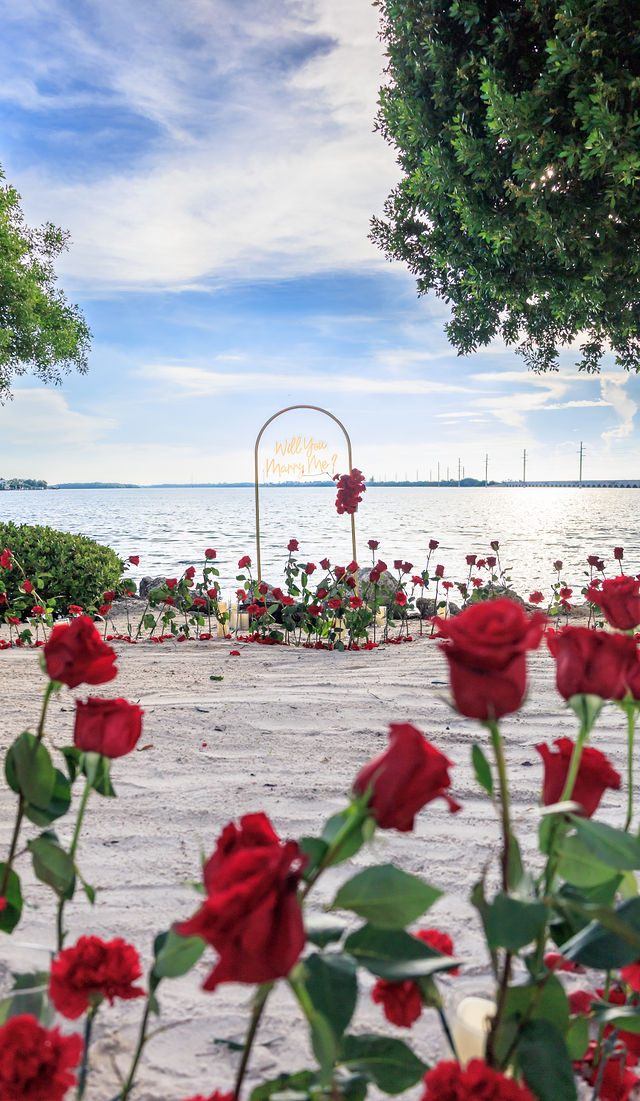 Alyssa & Dalton wedding by JM Weddings Events — Engagement Session