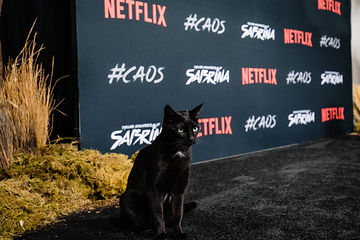 Sabrina_Netflix_Day1_MJP_013.jpg