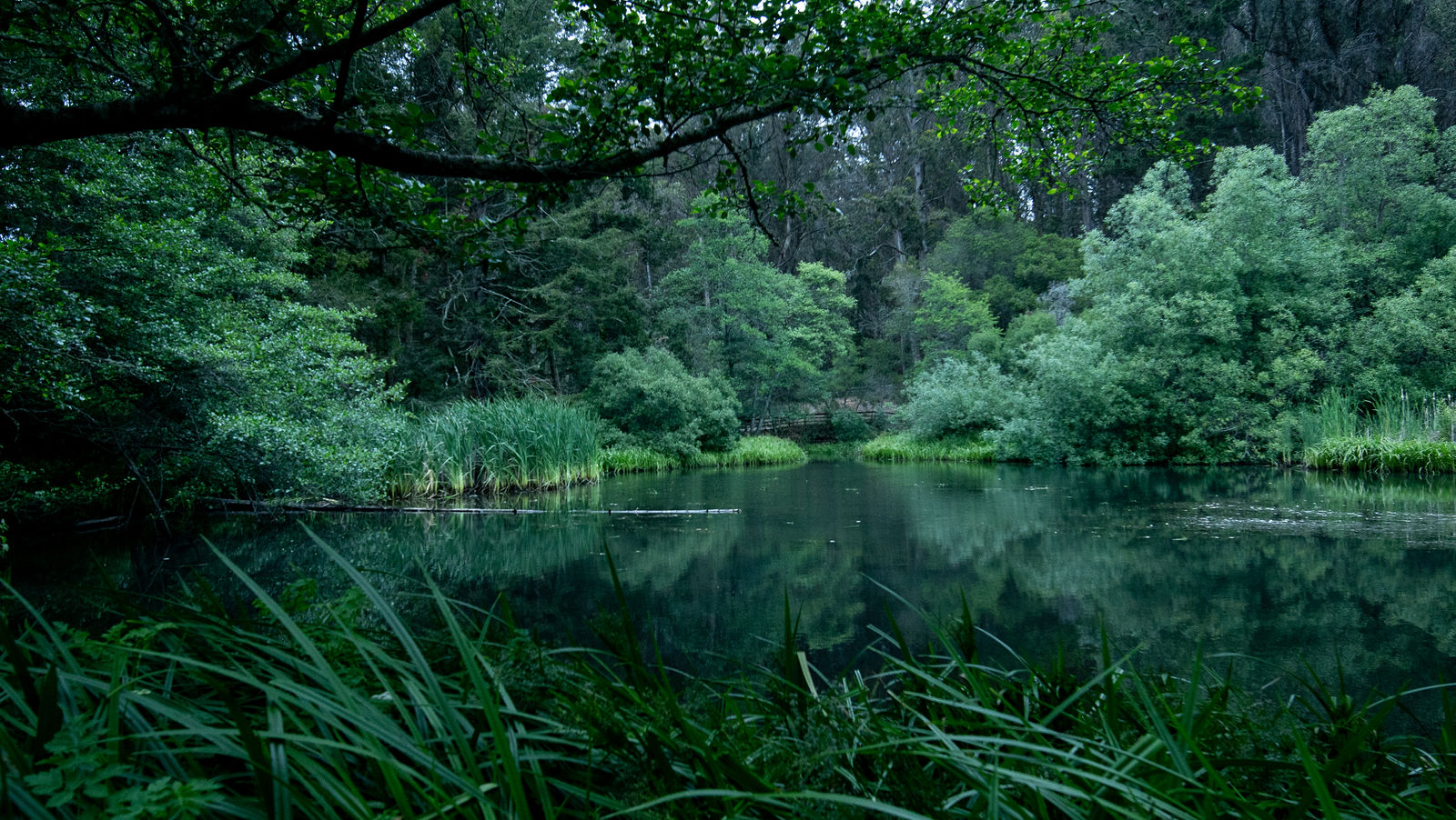 Tilden_ParkJewel_Lake by Emily Anderson ME